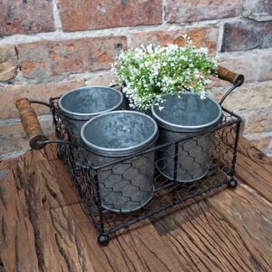 Wire Basket w/Handles 4 pots